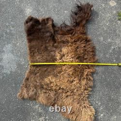 Tanned Woods Bison Buffalo Robe Blanket Leather Soft
