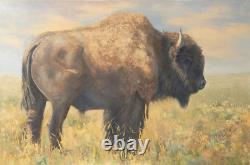 Teresa Lynn Johnson To Roam Once More Original Bison Oil Painting 24x36
