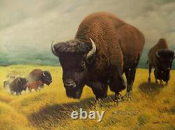 The Bison Offset Lithograph Print by Charles Frace Signed & Numbered