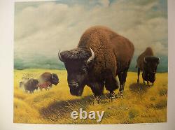 The Bison Offset Lithograph Print by Charles Frace Signed & Numbered