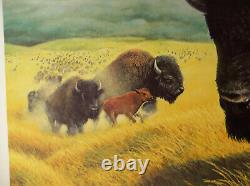 The Bison Offset Lithograph Print by Charles Frace Signed & Numbered
