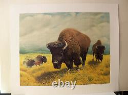 The Bison Offset Lithograph Print by Charles Frace Signed & Numbered