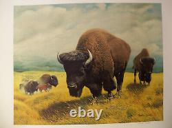 The Bison Offset Lithograph Print by Charles Frace Signed & Numbered