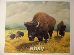 The Bison Offset Lithograph Print by Charles Frace Signed & Numbered