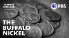 The Buffalo Nickel And Bison Facts Today The American Buffalo A Film By Ken Burns Pbs