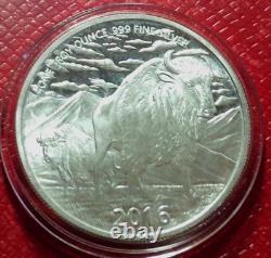 The Hunter Indian Buffalo Bison Round 1 Troy oz. 999 Fine Silver-withCapsule