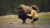 The Most Gruesome Bison Attack Ever Recorded