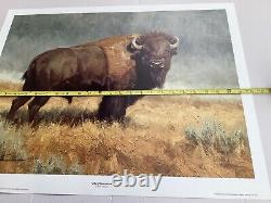 The Plainsman Ryan Skidmore Bison Buffalo Wildlife Animals Ltd Ed. Signed 20x26