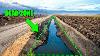 This Is How Farmers Are Tricking 1000 S Of Wild Boars And It S Genius