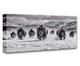 Thunder in the Snow Bison Herd Panoramic Wall Art Western Wildlife Decor