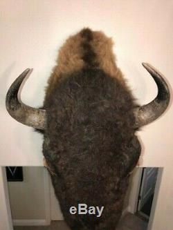 Trophy Buffalo Shoulder Mount, Bison Head, Antler Taxidermy Free Shipping