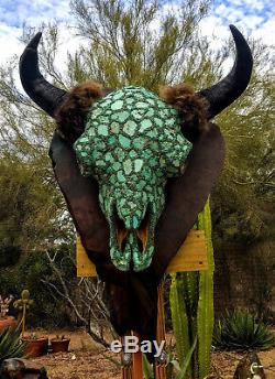 Turquoise Buffalo, record class Bison skull on Redwood Burl panel, Joni Hamari