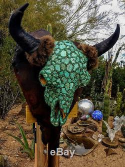 Turquoise Buffalo, record class Bison skull on Redwood Burl panel, Joni Hamari