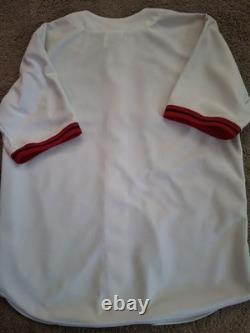 VINTAGE BUFFALO BISONS AUTHENTIC ON FIELD BASEBALL JERSEY, USA Men's Large
