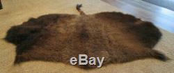 Vintage American Bison Tanned Hide Rug, Large Winter Coat, Taxidermy
