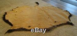 Vintage American Bison Tanned Hide Rug, Large Winter Coat, Taxidermy