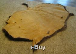 Vintage American Bison Tanned Hide Rug, Large Winter Coat, Taxidermy