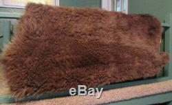 Vintage American Bison Tanned Hide Rug, Large Winter Coat, Taxidermy