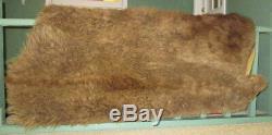 Vintage American Bison Tanned Hide Rug, Large Winter Coat, Taxidermy