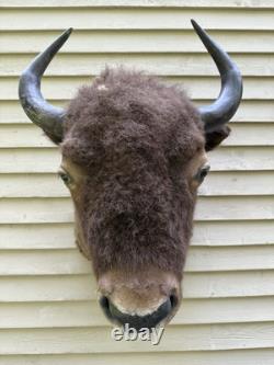 Vintage American Buffalo Bison Shoulder Mount For Sale