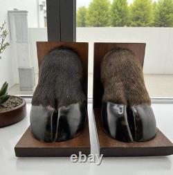 Vintage American Buffalo/Bison Taxidermied Hoof Bookends Mahogany Wood Bases