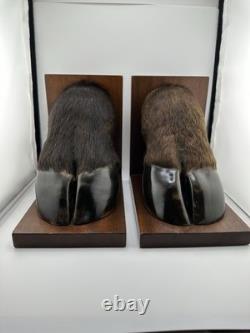 Vintage American Buffalo/Bison Taxidermied Hoof Bookends Mahogany Wood Bases