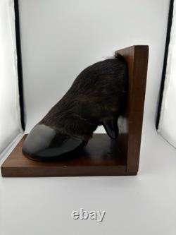 Vintage American Buffalo/Bison Taxidermied Hoof Bookends Mahogany Wood Bases