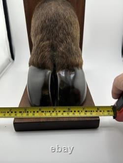 Vintage American Buffalo/Bison Taxidermied Hoof Bookends Mahogany Wood Bases