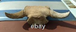 Vintage Antique Patina Buffalo Bison Skull