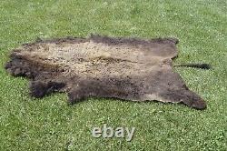 Vintage BISON BUFFALO HIDE RUG 105 X 58 #06771