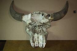 Vintage Bison Buffalo Skull Horns With Caps Rustic Weathered -23 1/2 Tip to Tip