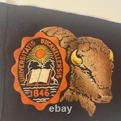 Vintage Bucknell Bison Pennant withTAG 1950s Collegiate of Ames Very Clean Wool