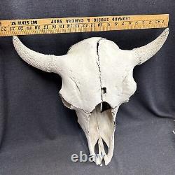 Vintage Buffalo Bison Head Skull Horns Old 20x20