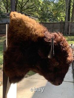 Vintage Buffalo/Bison Taxidermy Shoulder Mount Cabin Hunting Lodge