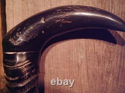 WALKING CANE Gemsbok/Oryx horn BISON HORN HANDLE brass & rubber slip-on tip USA