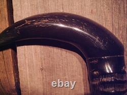 WALKING CANE Gemsbok/Oryx horn BISON HORN HANDLE brass & rubber slip-on tip USA
