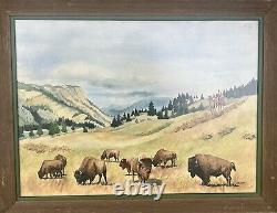 Watercolor PAINTING CUSTER PARK BISON By Betty Gothier, Anthon Iowa 28 X 22