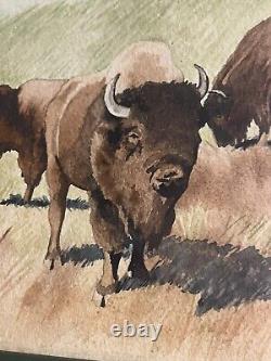 Watercolor PAINTING CUSTER PARK BISON By Betty Gothier, Anthon Iowa 28 X 22