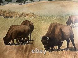 Watercolor PAINTING CUSTER PARK BISON By Betty Gothier, Anthon Iowa 28 X 22