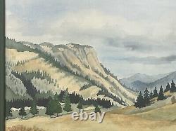 Watercolor PAINTING CUSTER PARK BISON By Betty Gothier, Anthon Iowa 28 X 22