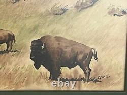 Watercolor PAINTING CUSTER PARK BISON By Betty Gothier, Anthon Iowa 28 X 22