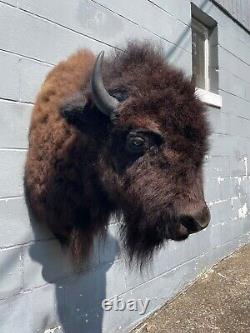 Western BISON/BUFFALO Shoulder Mount Log Cabin Hunting Lodge Taxidermy Decor/ =2