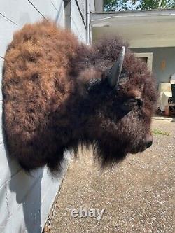 Western BISON/BUFFALO Shoulder Mount Log Cabin Hunting Lodge Taxidermy Decor/ =2