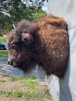 Western BISON/BUFFALO Shoulder Mount Log Cabin Hunting Lodge Taxidermy Decor/ =2