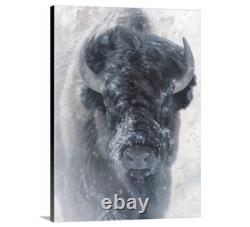 Western Bison Storyteller II Yellowstone Signed Print Made in Montana