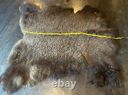 Western HUGE Tanned BISON/BUFFALO/Skin/Hide Log Cabin Hunting Lodge Taxidermy Sc