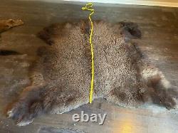 Western HUGE Tanned BISON/BUFFALO/Skin/Hide Log Cabin Hunting Lodge Taxidermy Sc