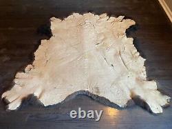 Western HUGE Tanned BISON/BUFFALO/Skin/Hide Log Cabin Hunting Lodge Taxidermy Sc