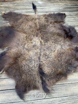 Western Large. Tanned BISON/BUFFALO /Skin/Hide Log Cabin Hunting Lodge Taxidermy