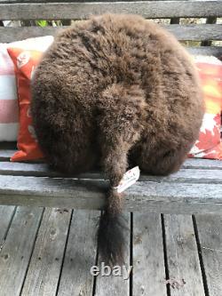 Western XXLarge BISON/BUFFALO BUTT, Rear End Log Cabin Hunting Lodge Taxidermy